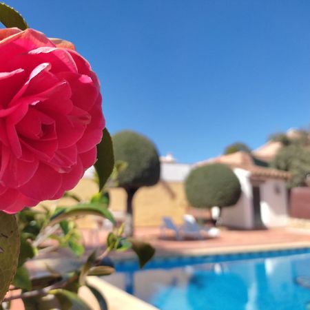 オルナチュエロス Casa Maledaヴィラ エクステリア 写真